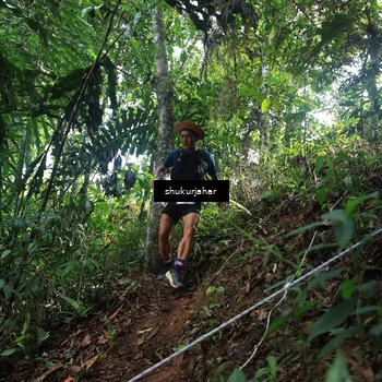 Runner Photo 5513755