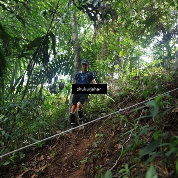 Runner Photo 5513786