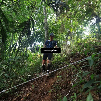 Runner Photo 5513787