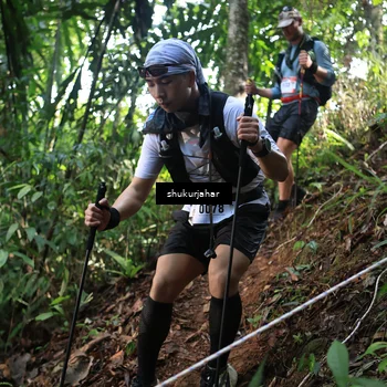 Runner Photo 5513811
