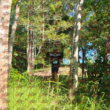 Runner Photo 5515