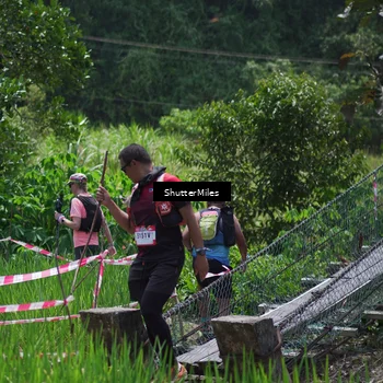 Runner Photo 5517490