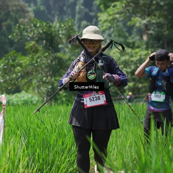 Runner Photo 5517701