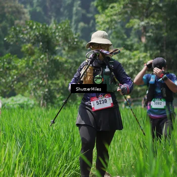 Runner Photo 5517702