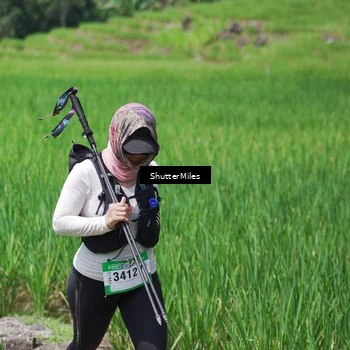 Runner Photo 5517787