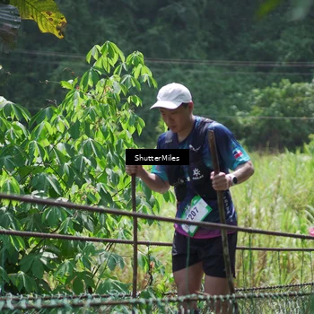 Runner Photo 5517867