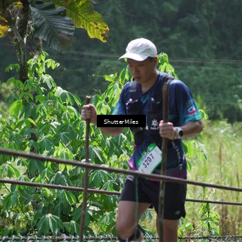 Runner Photo 5517874