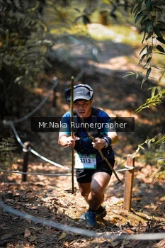 Runner Photo 5518312