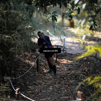 Runner Photo 5518391