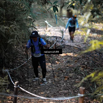 Runner Photo 5518400