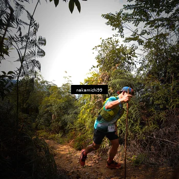 Runner Photo 5518470