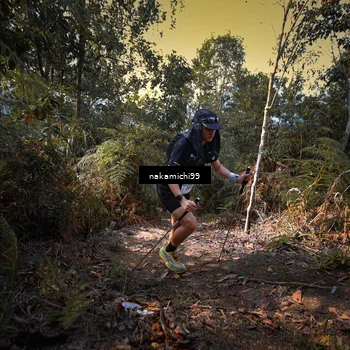 Runner Photo 5518490
