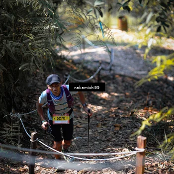 Runner Photo 5518898