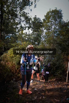 Runner Photo 5519402