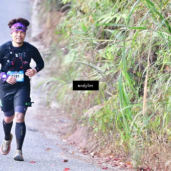 Runner Photo 5520043