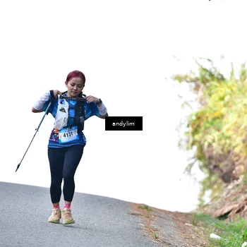 Runner Photo 5520495