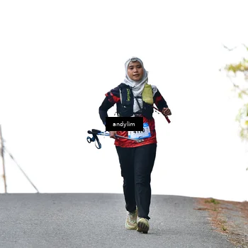 Runner Photo 5520632