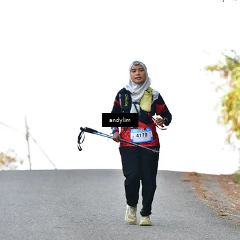 Runner Photo 5520656