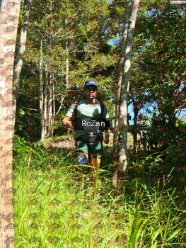 Runner Photo 5522
