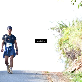Runner Photo 5522202