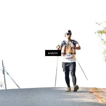 Runner Photo 5522213