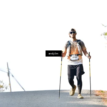 Runner Photo 5522219
