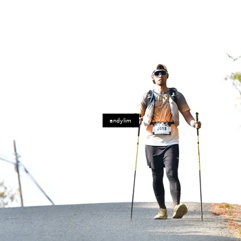 Runner Photo 5522220
