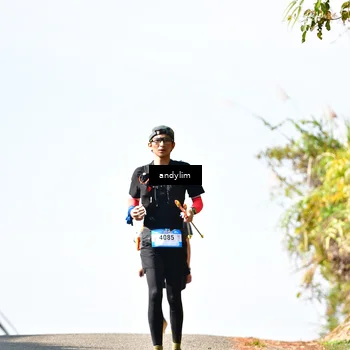 Runner Photo 5522334