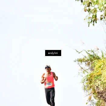 Runner Photo 5522632
