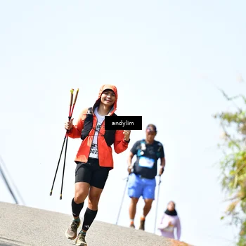 Runner Photo 5523804