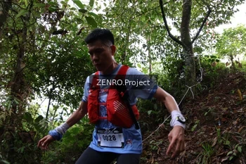 Runner Photo 5523824