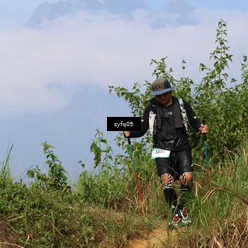 Runner Photo 5523918
