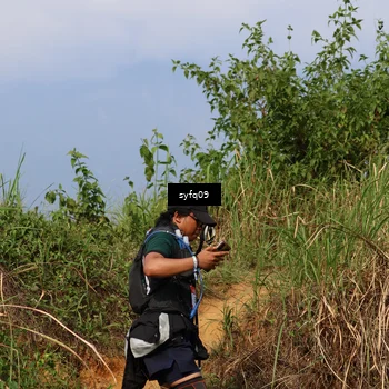 Runner Photo 5523920
