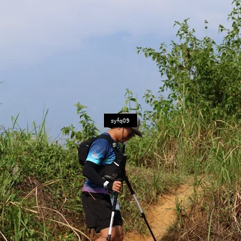 Runner Photo 5523993