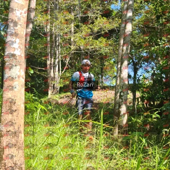 Runner Photo 5524