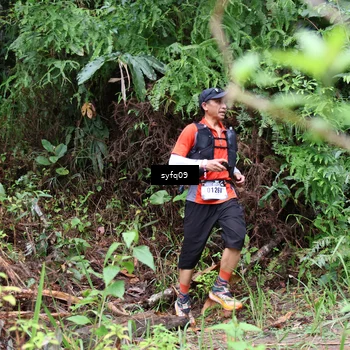 Runner Photo 5524185