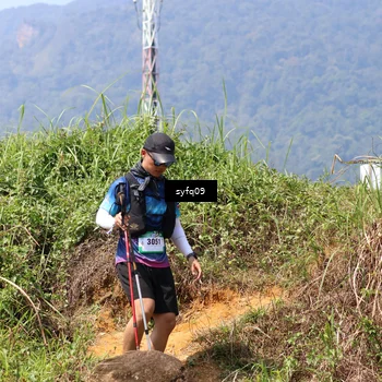 Runner Photo 5524199