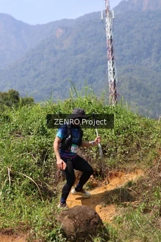 Runner Photo 5524220