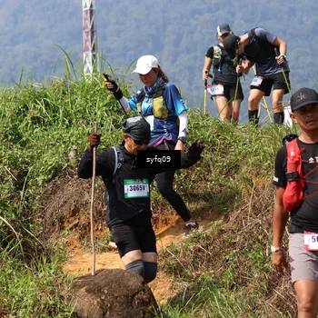 Runner Photo 5524235