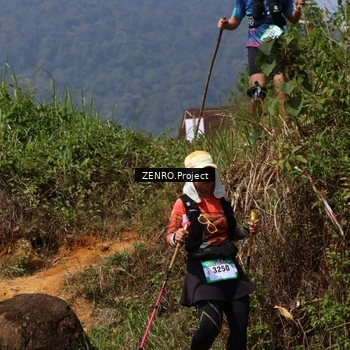 Runner Photo 5524240