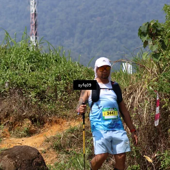 Runner Photo 5524254