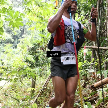 Runner Photo 5524330