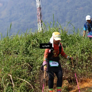 Runner Photo 5524386