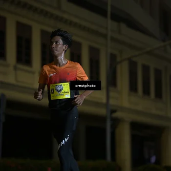 Runner Photo 5524647