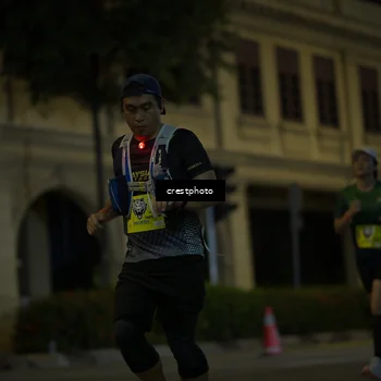 Runner Photo 5525619