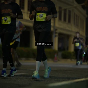 Runner Photo 5525697