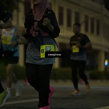 Runner Photo 5525744