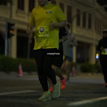 Runner Photo 5525745
