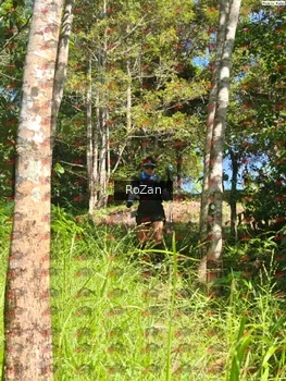 Runner Photo 5526
