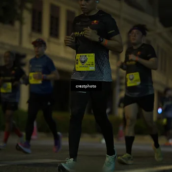 Runner Photo 5526080